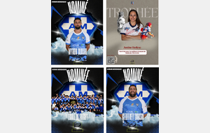 vignette Votez pour les nominés de l'AM !